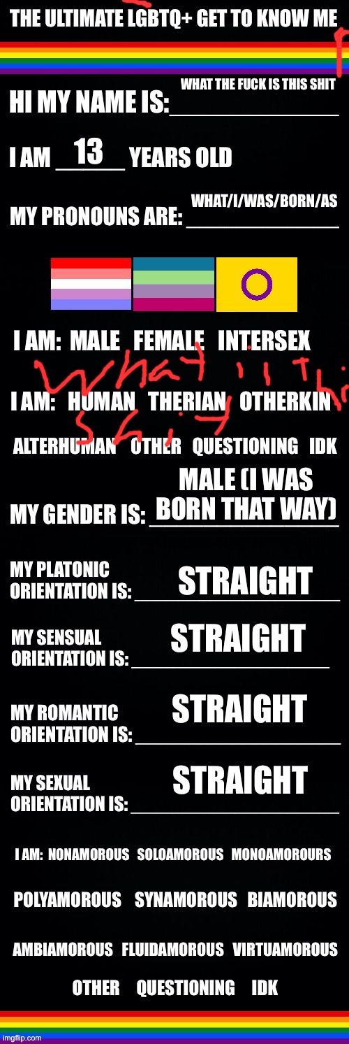 What is this shit | WHAT THE FUCK IS THIS SHIT; 13; WHAT/I/WAS/BORN/AS; MALE (I WAS BORN THAT WAY); STRAIGHT; STRAIGHT; STRAIGHT; STRAIGHT | image tagged in the ultimate lgbtq get to know me | made w/ Imgflip meme maker