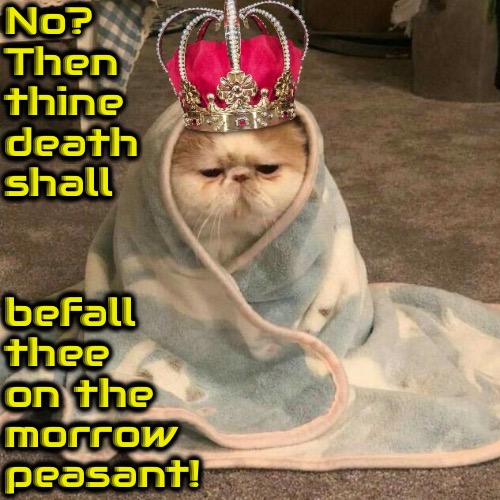 No? | No? Then thine death shall; befall thee on the morrow peasant! | image tagged in memes,royals,cats,funny,smug,so you have chosen death | made w/ Imgflip meme maker