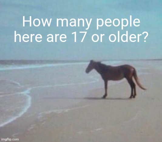 man. | How many people here are 17 or older? | image tagged in man | made w/ Imgflip meme maker