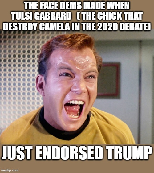 get banged up you dem scumbags | THE FACE DEMS MADE WHEN TULSI GABBARD   ( THE CHICK THAT DESTROY CAMELA IN THE 2020 DEBATE); JUST ENDORSED TRUMP | image tagged in stupid liberals,donald trump approves,winning,political humor,political meme,awesome | made w/ Imgflip meme maker