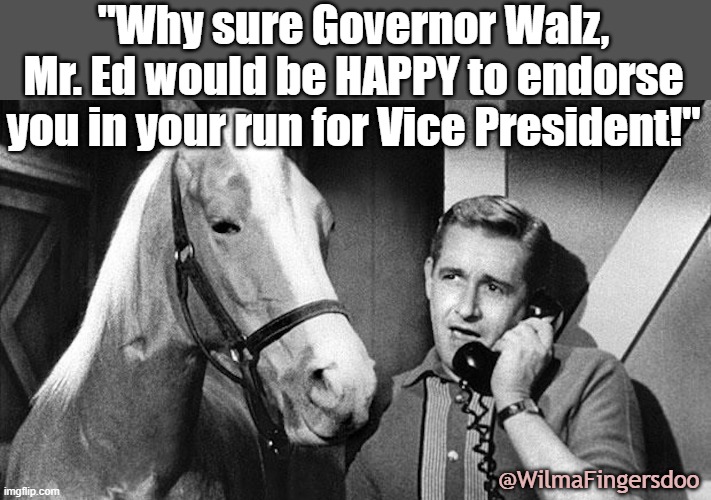 Mr. Ed | "Why sure Governor Walz, Mr. Ed would be HAPPY to endorse you in your run for Vice President!"; @WilmaFingersdoo | image tagged in mr ed,walz | made w/ Imgflip meme maker