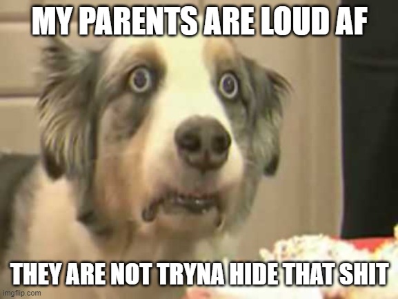 yk what I'm talkin about. Also can't sleep yet. | MY PARENTS ARE LOUD AF; THEY ARE NOT TRYNA HIDE THAT SHIT | image tagged in thousand-yard stare dog | made w/ Imgflip meme maker