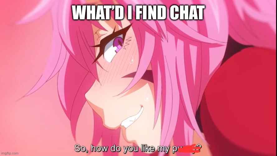 Hentai meme | WHAT’D I FIND CHAT | image tagged in hentai meme | made w/ Imgflip meme maker