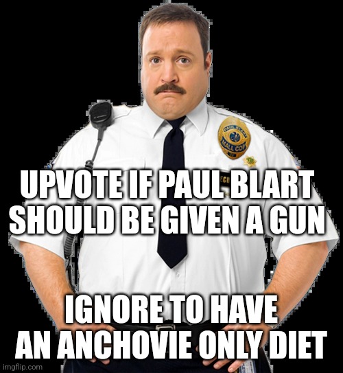 Paul Blart | UPVOTE IF PAUL BLART SHOULD BE GIVEN A GUN; IGNORE TO HAVE AN ANCHOVIE ONLY DIET | image tagged in paul blart | made w/ Imgflip meme maker