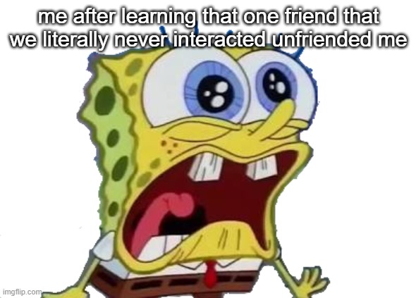 Spongebob Screaming and Crying PNG | me after learning that one friend that we literally never interacted unfriended me | image tagged in spongebob screaming and crying png | made w/ Imgflip meme maker