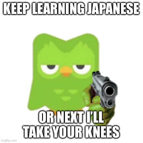 Duolingo | KEEP LEARNING JAPANESE OR NEXT I’LL TAKE YOUR KNEES | image tagged in duolingo | made w/ Imgflip meme maker