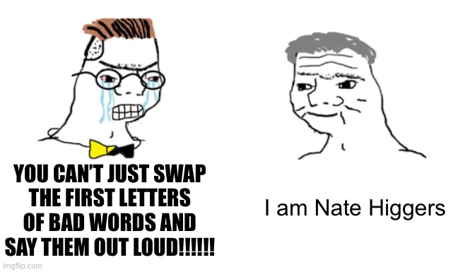 noooo you can't just | YOU CAN’T JUST SWAP
THE FIRST LETTERS OF BAD WORDS AND SAY THEM OUT LOUD!!!!!! I am Nate Higgers | image tagged in noooo you can't just | made w/ Imgflip meme maker