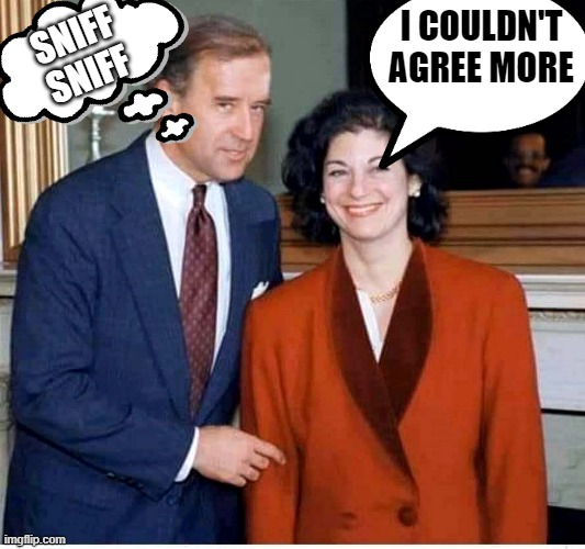 Biden | I COULDN'T AGREE MORE SNIFF
SNIFF | image tagged in biden | made w/ Imgflip meme maker