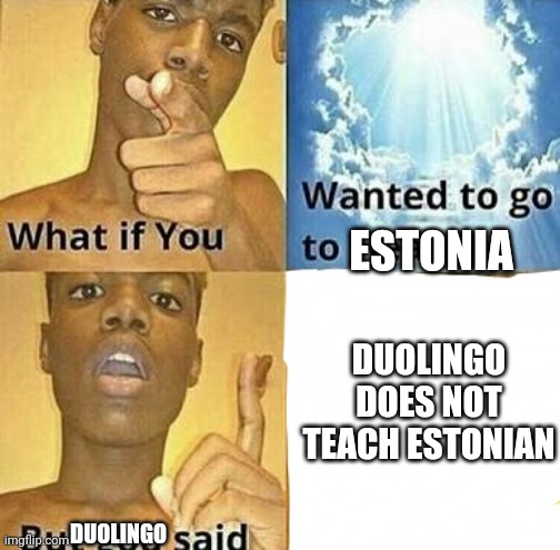 I wanna there so badly | ESTONIA; DUOLINGO DOES NOT TEACH ESTONIAN; DUOLINGO | image tagged in what if you wanted to go to heaven | made w/ Imgflip meme maker