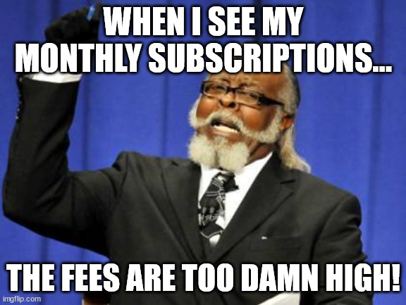 Subscription Service Sorrow | WHEN I SEE MY MONTHLY SUBSCRIPTIONS... THE FEES ARE TOO DAMN HIGH! | image tagged in memes,too damn high,fun,child,parenting | made w/ Imgflip meme maker