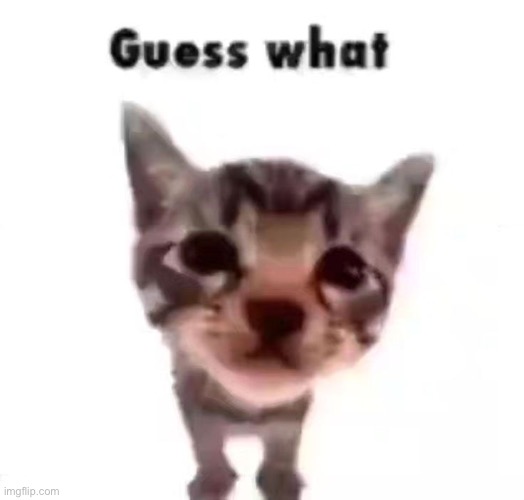 check comments. | made w/ Imgflip meme maker