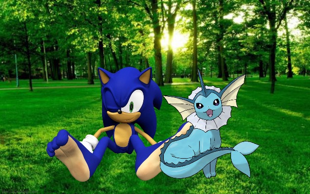 Sonic and Vaporeon hanging out in their backyard | image tagged in landscape,sonic the hedgehog,pokemon,crossover | made w/ Imgflip meme maker