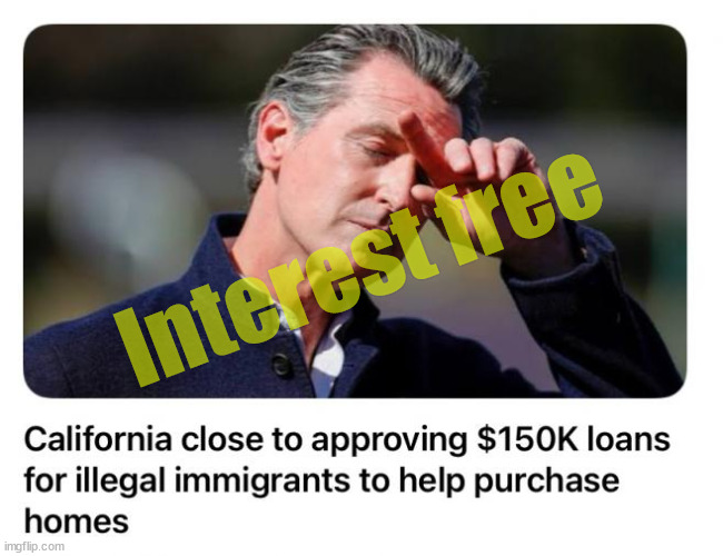 So many Americans in California struggling to make ends meet... | Interest free | image tagged in dems,prioritizing,illegals over americans,with your tax dollars | made w/ Imgflip meme maker