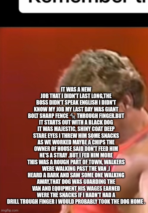 Guard dog | IT WAS A NEW JOB THAT I DIDN'T LAST LONG,THE BOSS DIDN'T SPEAK ENGLISH I DIDN'T KNOW MY JOB MY LAST DAY WAS GIANT BOLT SHARP FENCE 🔩 THROUGH FINGER.BUT IT STARTS OUT WITH A BLACK DOG IT WAS MAJESTIC, SHINY COAT DEEP STARE EYES I THREW HIM SOME SNACKS AS WE WORKED MAYBE A CHIPS THE OWNER OF HOUSE SAID DON'T FEED HIM HE'S A STRAY .BUT I FED HIM MORE THIS WAS A ROUGH PART OF TOWN, WALKERS WERE WALKING PAST THE VAN ,I HEARD A BARK AND SAW SOME ONE WALKING AWAY,THAT DOG WAS GUARDING THE VAN AND EQUIPMENT HIS WAGES EARNED WERE THE SNACKS IF I HADN'T HAD A DRILL TROUGH FINGER I WOULD PROBABLY TOOK THE DOG HOME . | image tagged in chicago | made w/ Imgflip meme maker