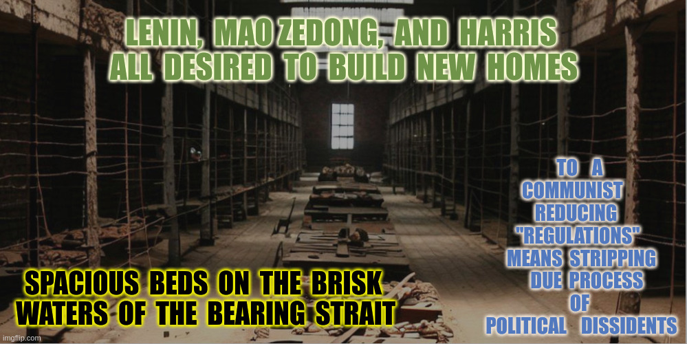 Shades of Double-speak | LENIN,  MAO ZEDONG,  AND  HARRIS  ALL  DESIRED  TO  BUILD  NEW  HOMES; TO    A  COMMUNIST     
REDUCING    "REGULATIONS"   MEANS  STRIPPING       DUE  PROCESS   
OF 
POLITICAL    DISSIDENTS; SPACIOUS  BEDS  ON  THE  BRISK  WATERS  OF  THE  BEARING  STRAIT | image tagged in commie homes | made w/ Imgflip meme maker