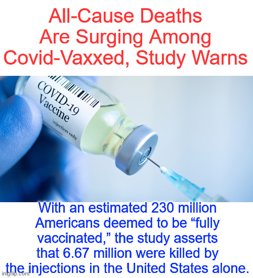 They lied to you about the vaccine... and now more and more studies are proving that... | All-Cause Deaths Are Surging Among Covid-Vaxxed, Study Warns; With an estimated 230 million Americans deemed to be “fully vaccinated,” the study asserts that 6.67 million were killed by the injections in the United States alone. | image tagged in covid vaccine,msm lied to you | made w/ Imgflip meme maker