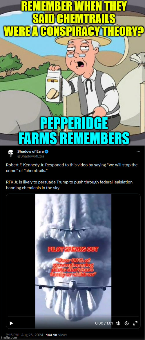 Chemtrails... are very real... | REMEMBER WHEN THEY SAID CHEMTRAILS WERE A CONSPIRACY THEORY? PEPPERIDGE FARMS REMEMBERS | image tagged in memes,pepperidge farm remembers,they are experimenting on you | made w/ Imgflip meme maker