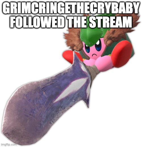 Gigant Sword | GRIMCRINGETHECRYBABY FOLLOWED THE STREAM | image tagged in gigant sword | made w/ Imgflip meme maker