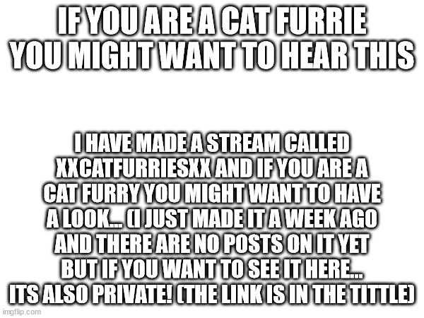 https://imgflip.com/m/XxCatFurriesStreamxX | IF YOU ARE A CAT FURRIE YOU MIGHT WANT TO HEAR THIS; I HAVE MADE A STREAM CALLED XXCATFURRIESXX AND IF YOU ARE A CAT FURRY YOU MIGHT WANT TO HAVE A LOOK... (I JUST MADE IT A WEEK AGO AND THERE ARE NO POSTS ON IT YET BUT IF YOU WANT TO SEE IT HERE... ITS ALSO PRIVATE! (THE LINK IS IN THE TITTLE) | image tagged in furries | made w/ Imgflip meme maker