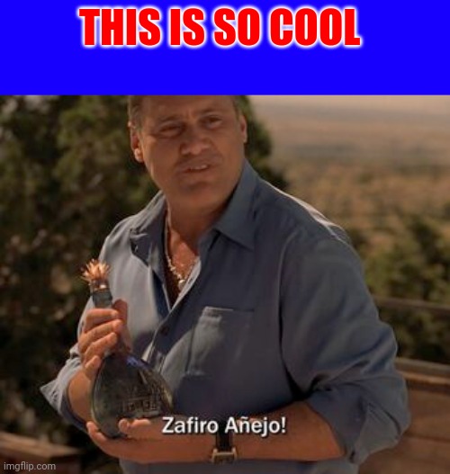 So Cool | THIS IS SO COOL | image tagged in funny memes | made w/ Imgflip meme maker