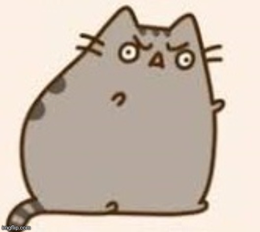 Y U NO PUSHEEN | image tagged in y u no pusheen | made w/ Imgflip meme maker