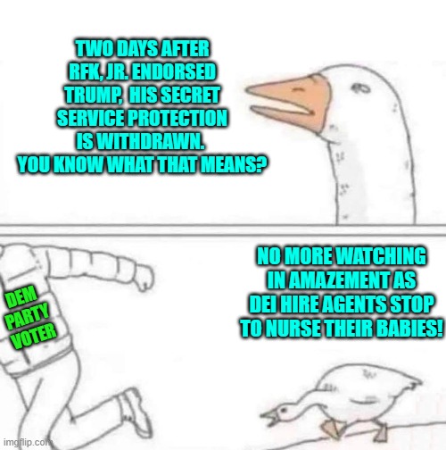 How was that expected to work in a fire fight? | TWO DAYS AFTER RFK, JR. ENDORSED TRUMP,  HIS SECRET SERVICE PROTECTION IS WITHDRAWN.  YOU KNOW WHAT THAT MEANS? DEM PARTY VOTER; NO MORE WATCHING IN AMAZEMENT AS DEI HIRE AGENTS STOP TO NURSE THEIR BABIES! | image tagged in goose chase | made w/ Imgflip meme maker