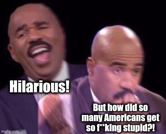 Steve Harvey Laughing Serious | Hilarious! But how did so many Americans get so f**king stupid?! | image tagged in steve harvey laughing serious | made w/ Imgflip meme maker