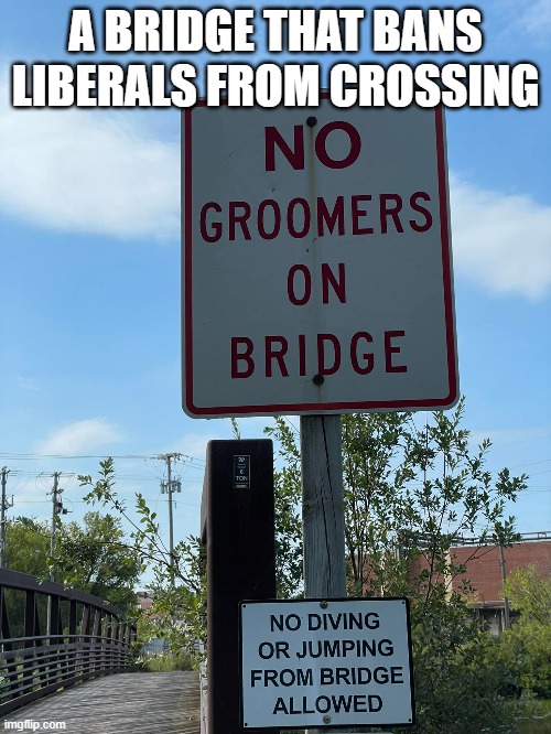 Liberal Free Bridge | A BRIDGE THAT BANS LIBERALS FROM CROSSING | image tagged in politics,liberals,democrats | made w/ Imgflip meme maker