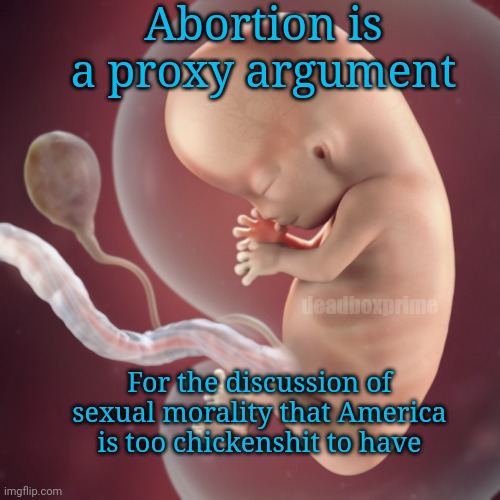 What is everyone so afraid of? | Abortion is a proxy argument; deadboxprime; For the discussion of sexual morality that America is too chickenshit to have | image tagged in 10 week fetus | made w/ Imgflip meme maker