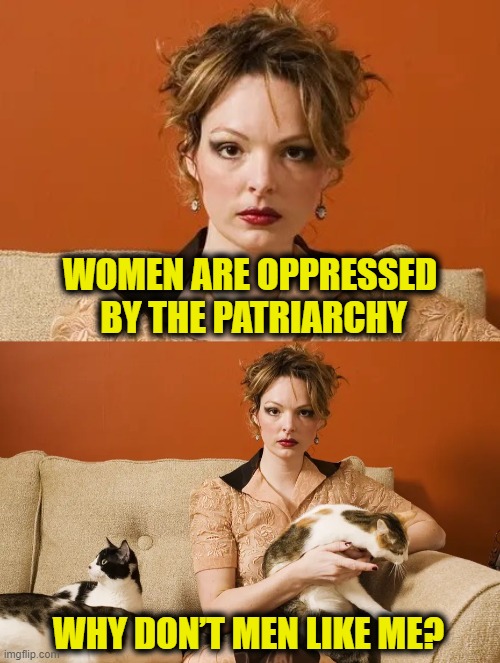 Cat lady conundrum | WOMEN ARE OPPRESSED
 BY THE PATRIARCHY; WHY DON’T MEN LIKE ME? | image tagged in femenist | made w/ Imgflip meme maker