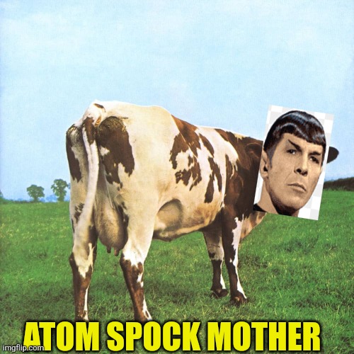 ATOM SPOCK MOTHER | made w/ Imgflip meme maker