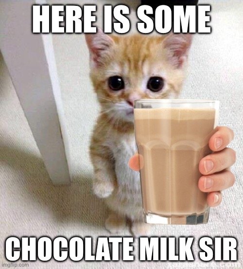 Yeah Chocolate Milk | HERE IS SOME; CHOCOLATE MILK SIR | image tagged in memes,cute cat | made w/ Imgflip meme maker