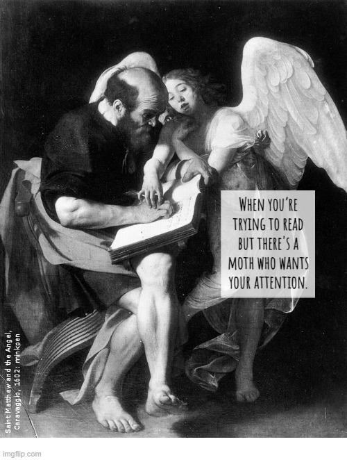 Books | image tagged in artmemes,caravaggio,books,saints,reading,literature | made w/ Imgflip meme maker