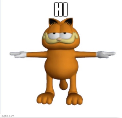 garfield t-pose | HI | image tagged in garfield t-pose | made w/ Imgflip meme maker