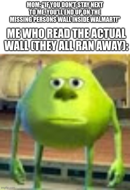 LIKE DUDE!!! every one said "had ran away from home"!!! IM NOT THAT FUCKING WORRIED | MOM: "IF YOU DON'T STAY NEXT TO ME, YOU'LL END UP ON THE MISSING PERSONS WALL INSIDE WALMART!"; ME WHO READ THE ACTUAL WALL (THEY ALL RAN AWAY): | image tagged in sully wazowski | made w/ Imgflip meme maker