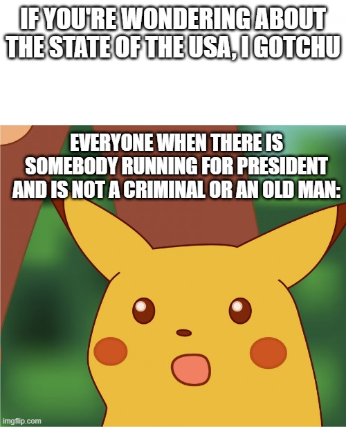 this is the state of the usa if ur wondering | IF YOU'RE WONDERING ABOUT THE STATE OF THE USA, I GOTCHU; EVERYONE WHEN THERE IS SOMEBODY RUNNING FOR PRESIDENT AND IS NOT A CRIMINAL OR AN OLD MAN: | image tagged in surprised pikachu high quality | made w/ Imgflip meme maker