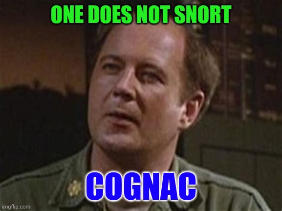 Cognac | ONE DOES NOT SNORT; COGNAC | image tagged in funny memes | made w/ Imgflip meme maker