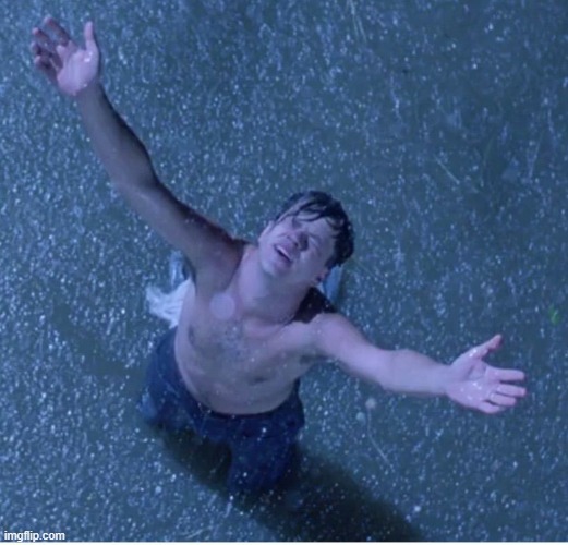 Shawshank redemption freedom | image tagged in shawshank redemption freedom | made w/ Imgflip meme maker