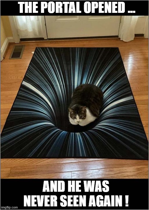 Interdiamentional Cat | THE PORTAL OPENED ... AND HE WAS NEVER SEEN AGAIN ! | image tagged in cats,interdiamensional,portal,disappearence | made w/ Imgflip meme maker