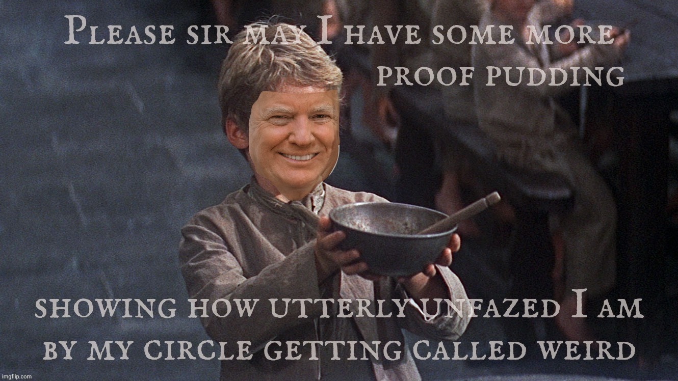 Trump & Co aren't bothered by being called w'ear'd [see what I did there?]. Hence the colicky disposition currently on display | Please sir may I have some more
                                    proof pudding; showing how utterly unfazed I am
by my circle getting called weird | image tagged in trump,trump and company,just a little weird,w'ear'd,proof pudding,much aloe | made w/ Imgflip meme maker