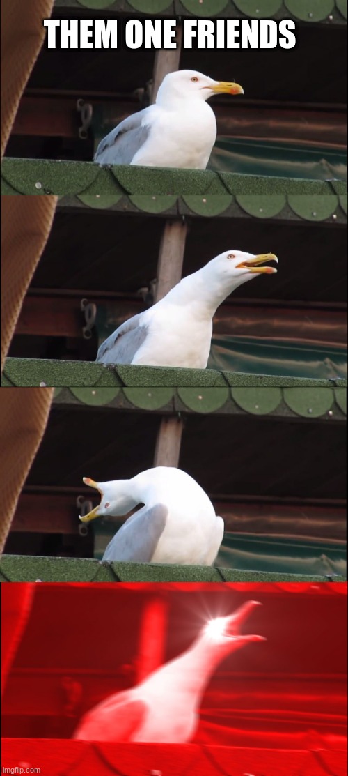 Inhaling Seagull | THEM ONE FRIENDS | image tagged in memes,inhaling seagull | made w/ Imgflip meme maker