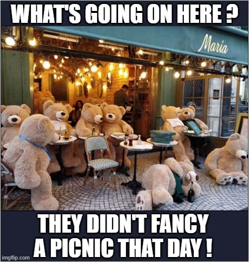 Teddy Bears Picnic Cancelled ! | WHAT'S GOING ON HERE ? THEY DIDN'T FANCY
A PICNIC THAT DAY ! | image tagged in teddy bear,picnic,cancelled | made w/ Imgflip meme maker