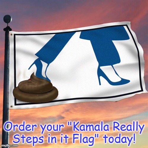 Fweedom! | Order your "Kamala Really Steps in it Flag" today! | image tagged in kamala flag | made w/ Imgflip meme maker