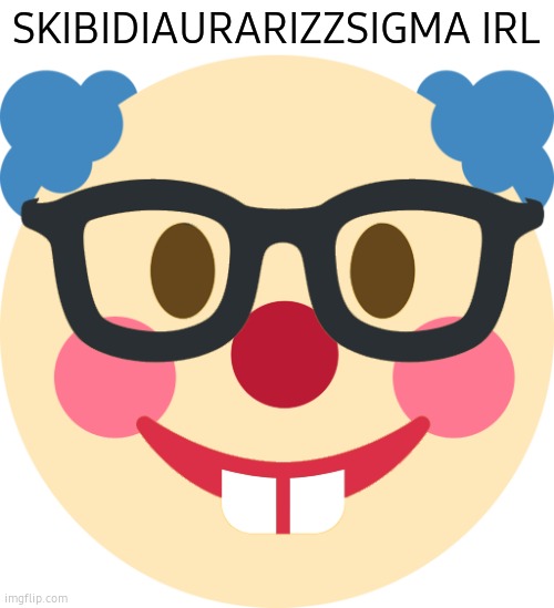 ClownNerd | SKIBIDIAURARIZZSIGMA IRL | image tagged in clownnerd | made w/ Imgflip meme maker