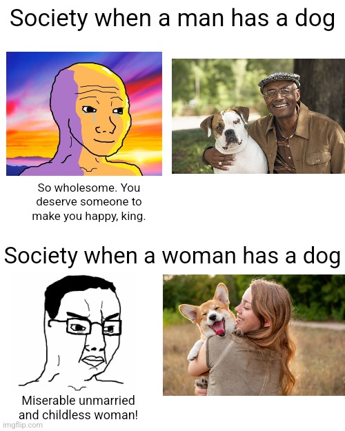 People deserve to be happy any way they want, including getting a dog | Society when a man has a dog; So wholesome. You deserve someone to make you happy, king. Society when a woman has a dog; Miserable unmarried and childless woman! | image tagged in pets,dogs,society,double standards,hypocrisy,misogyny | made w/ Imgflip meme maker