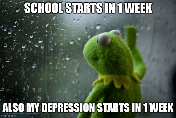 kermit window | SCHOOL STARTS IN 1 WEEK; ALSO MY DEPRESSION STARTS IN 1 WEEK | image tagged in kermit window | made w/ Imgflip meme maker