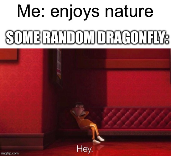 Dragon flies just be reckless of their surrounding | Me: enjoys nature; SOME RANDOM DRAGONFLY: | image tagged in vector hey,nature,memes,so true memes,funny,relatable | made w/ Imgflip meme maker