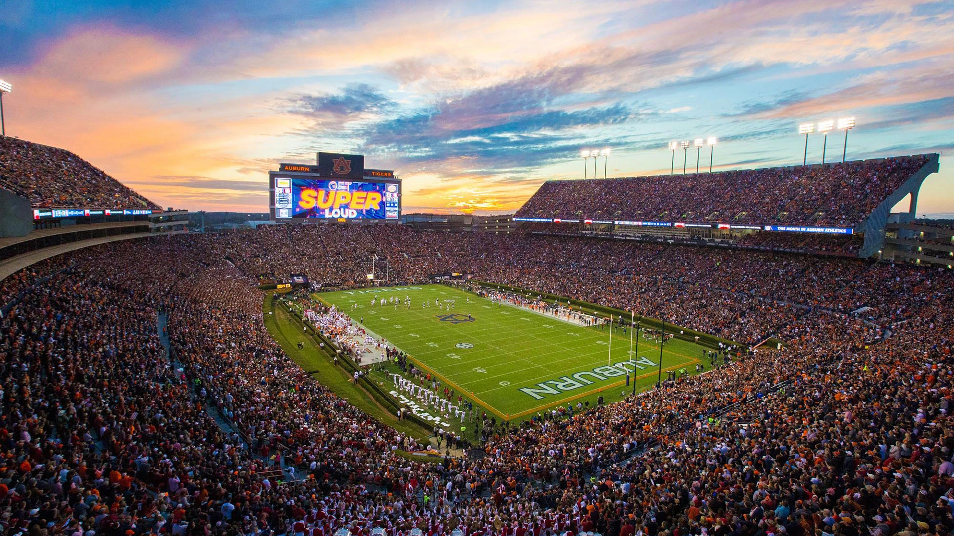 Jordan hare Blank Meme Template