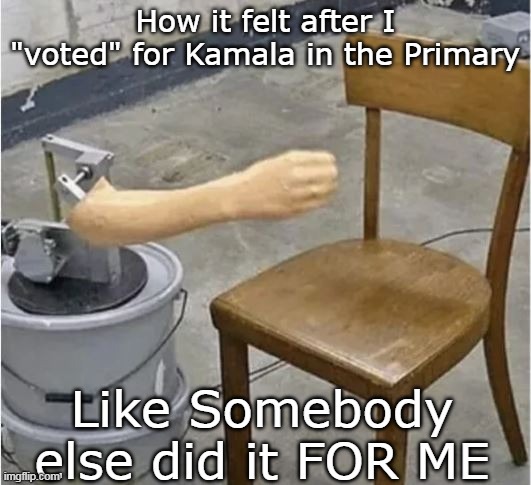 Dems give the people a hand voting | How it felt after I "voted" for Kamala in the Primary | image tagged in kamala primary vote meme | made w/ Imgflip meme maker