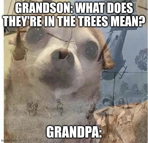 PTSD Chihuahua | GRANDSON: WHAT DOES THEY'RE IN THE TREES MEAN? GRANDPA: | image tagged in ptsd chihuahua | made w/ Imgflip meme maker